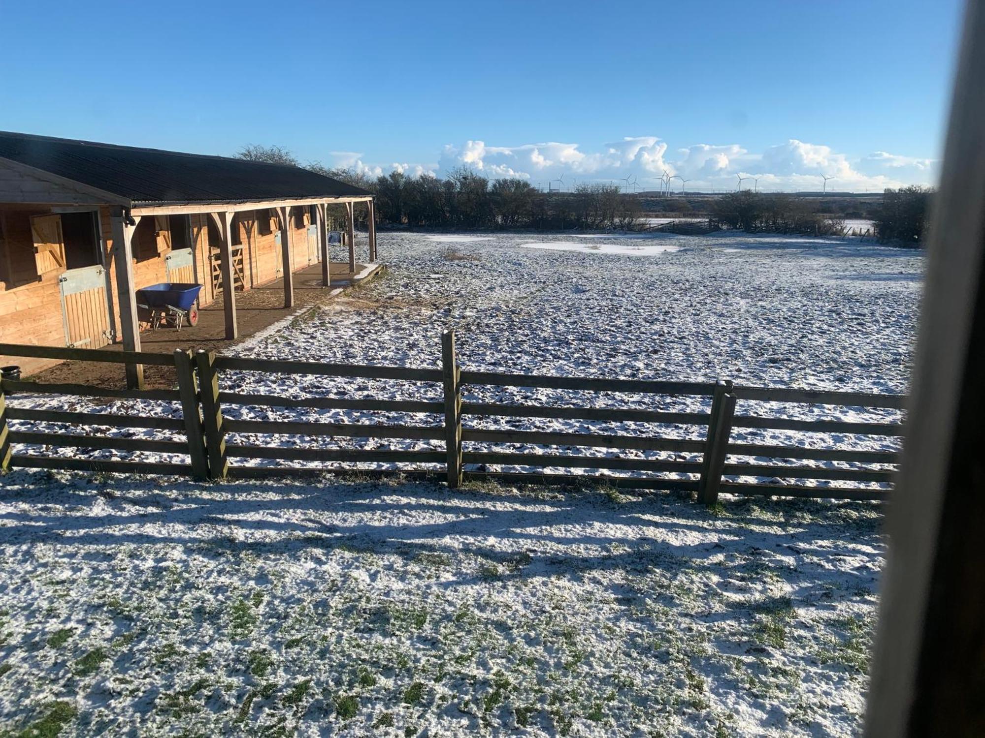 Owls Nest Log Cabin Morpeth Exteriör bild